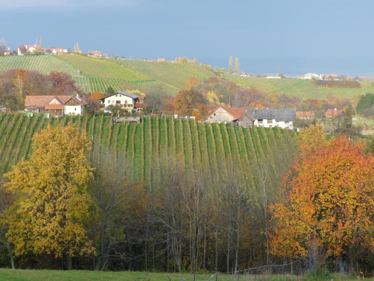 Auszeit Ferienhaus Fur 6 Personen ,Mit Grosser Terrasse Und Panoramablick, Turracher Hohe -A1 Haus 436 A Links- Buitenkant foto